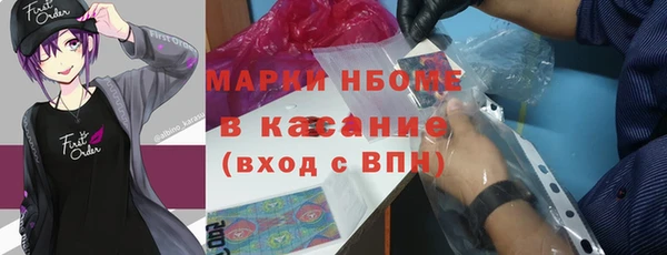 эйфоретик Тайга