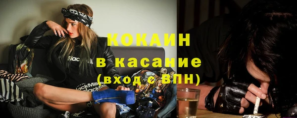 винт Лабытнанги