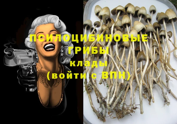 винт Лабытнанги