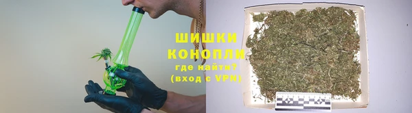 бошки Ладушкин