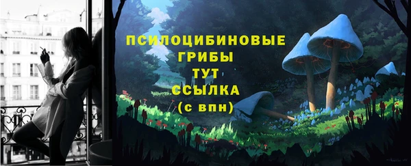 бошки Вязьма