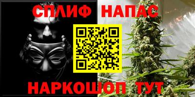jwh Апшеронск