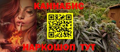 Альфа ПВП Аргун