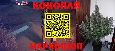 Альфа ПВП Аргун