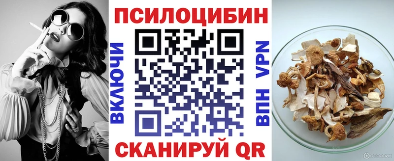 наркота  Черкесск  Псилоцибиновые грибы Psilocybe 