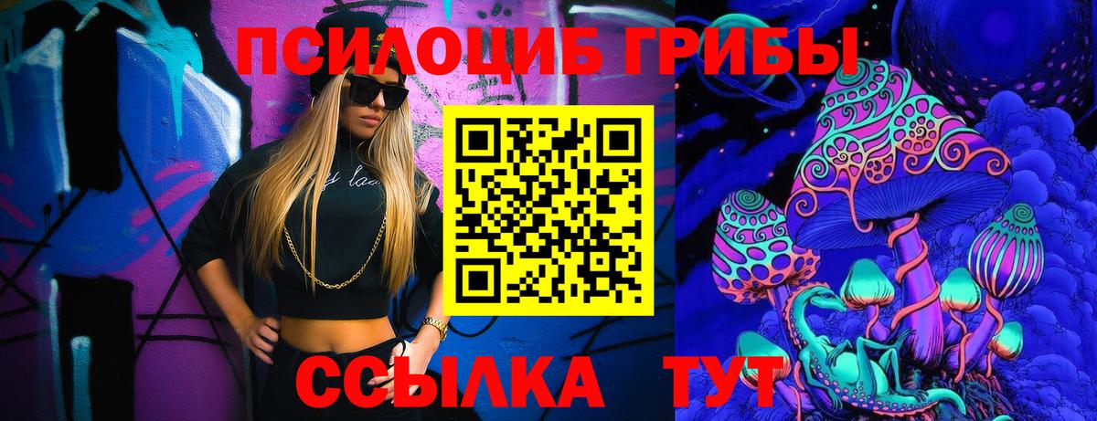 купить наркоту  Черкесск  Галлюциногенные грибы Cubensis 